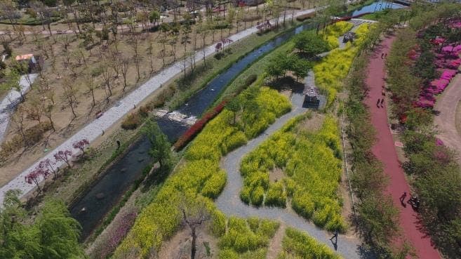 Busan Scales Up Green Urban Forests to Combat Heat and Pollution