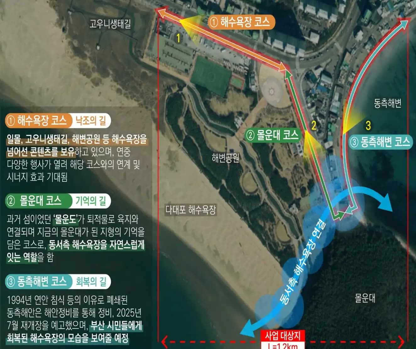 Busan to Redesign 1.2km Stretch of Dadaepo Beach by 2026
