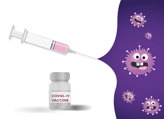 Busan City Rolls Out Novavax XBB.1.5 COVID-19 Vaccine, Expanding Free Immunization to All Citizens Aged 12 and Above