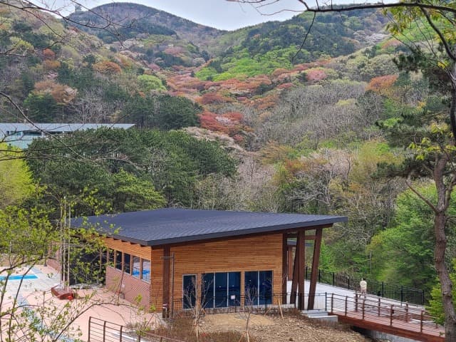 Busan Opens ‘Forest of Healing’ on Seunghaksan Mountain