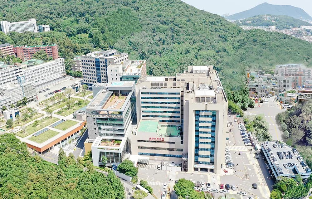 Can Busan Become a Global Medical Tourism Hub?